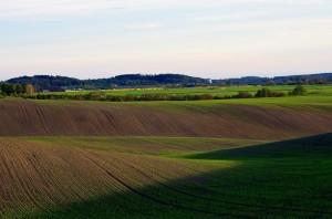 Foto: Mikael Hallberg